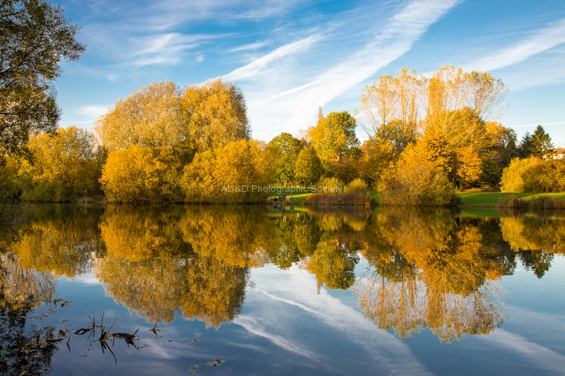 Autumn reflections.jpg