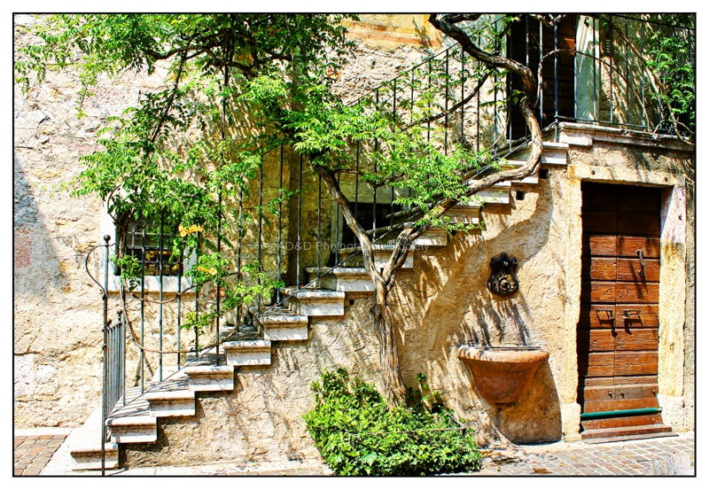 Torri Del Benaco by Maureen Ty