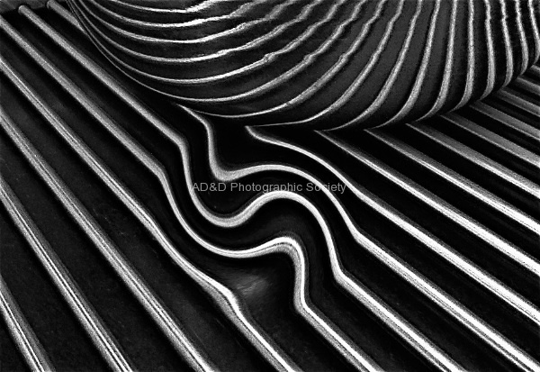 Wendy_Meagher_-_Lines__Swirls.jpg