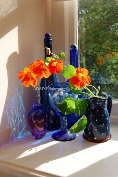 Wendy_Meagher_-_Nasturtiums_in_Blue.JPG
