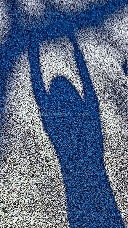 Andrew Dayer - Shadow Paths