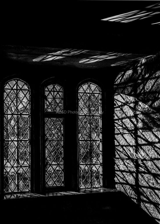 Martyn Pearse - Shadows1