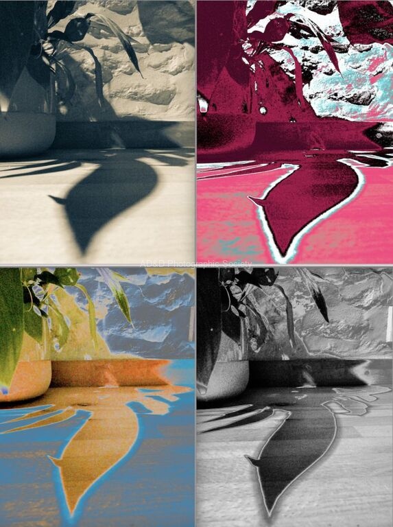 Miggy WIld - Shadows four ways
