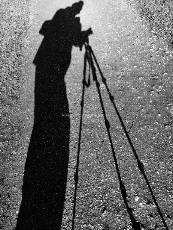 Paul Brewerton - Shadow