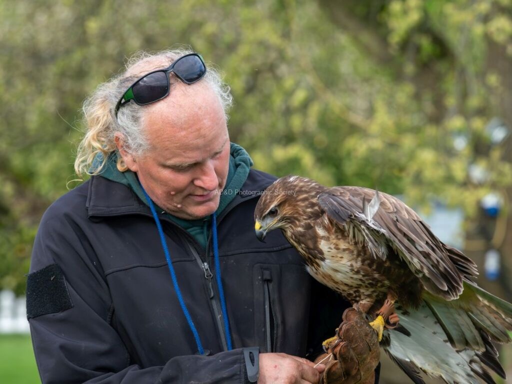 Colin Lamb - Buzzard and handler
