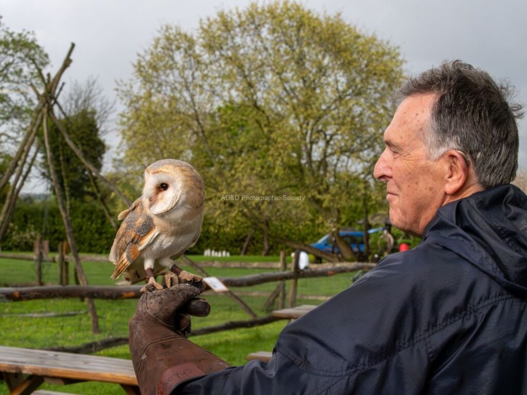 Colin Lamb - Martyn holding barn owl