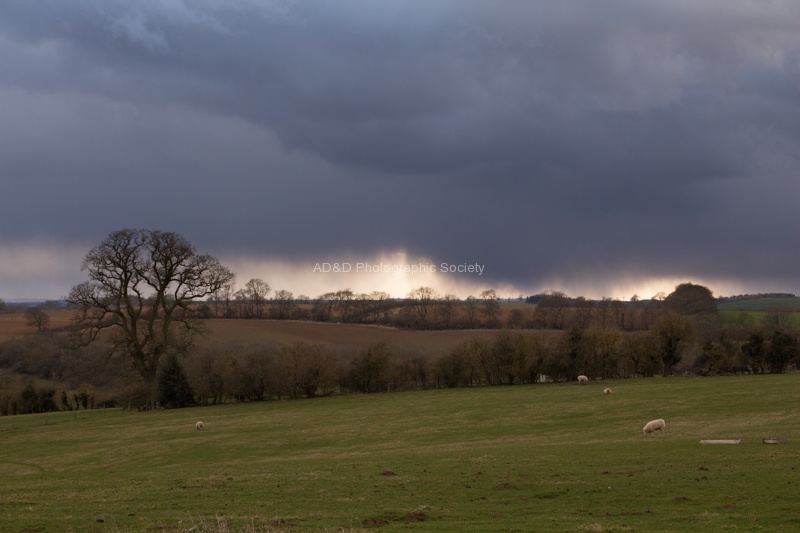 3 Rain's on the Way - Colin L.jpg