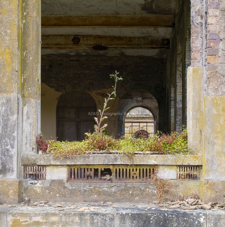 Martyn Pearse - Trentham