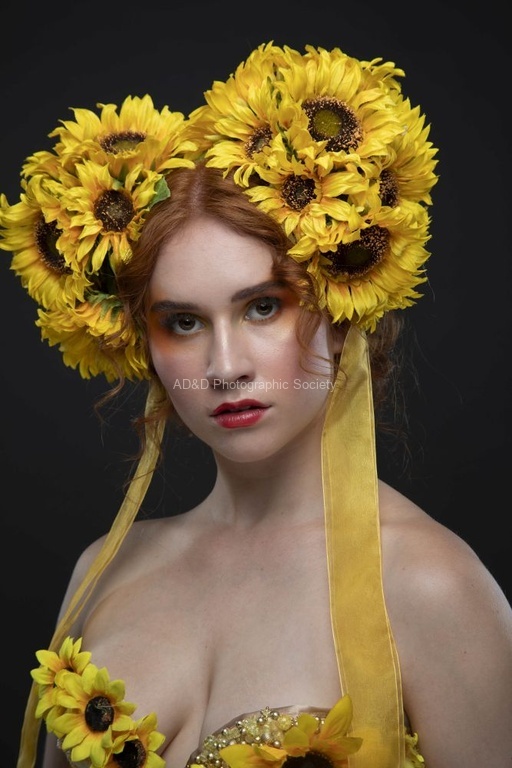 Courtney Killpack - Sunflower Happiness
