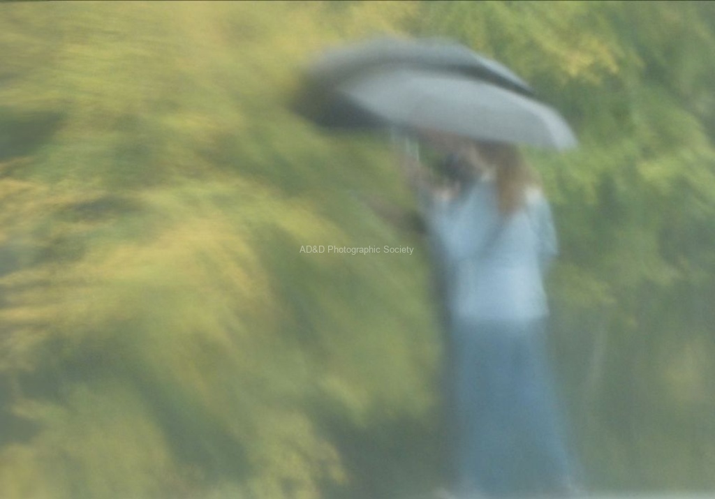 Miggy Wild - Blenheim Rain