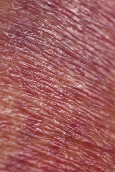 Colin Abstract 2 - Colin L.jpg