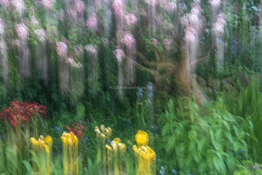 Maureen Tyrrell - Close to home 1