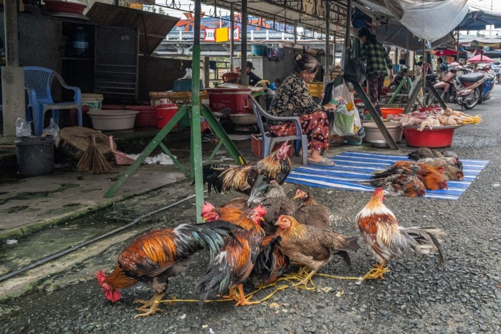 John Cavana - Production Line in Vietnam