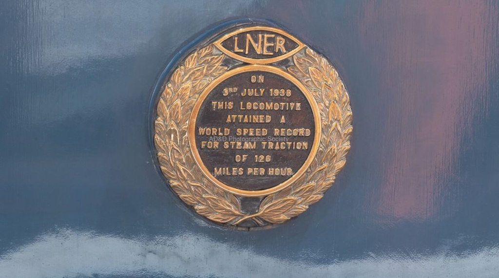 Paul Brewerton - Mallard Plaque