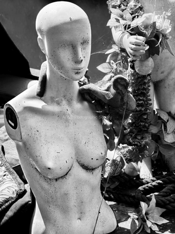 Maureen Tyrrell - Something Broken