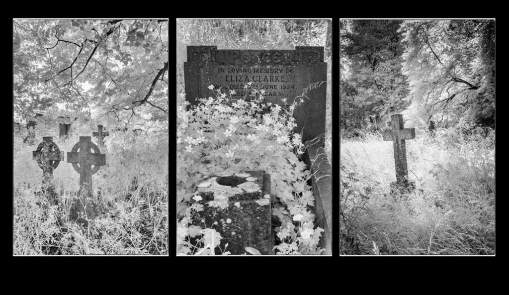John Cavana - In a Churchyard