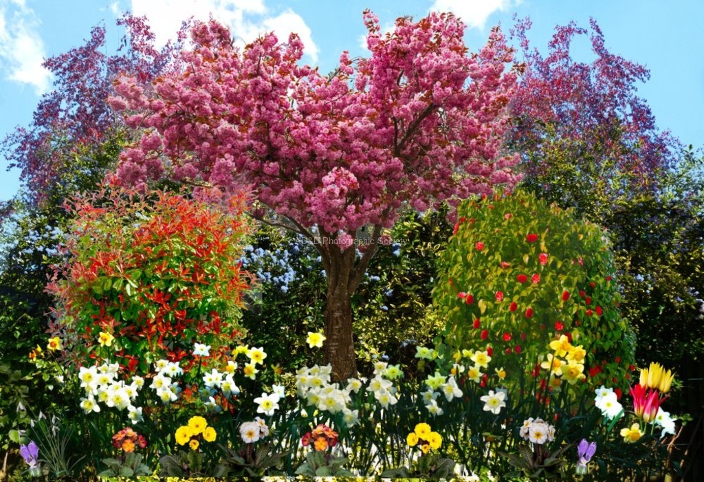 Alan Davies - Spring-Colour