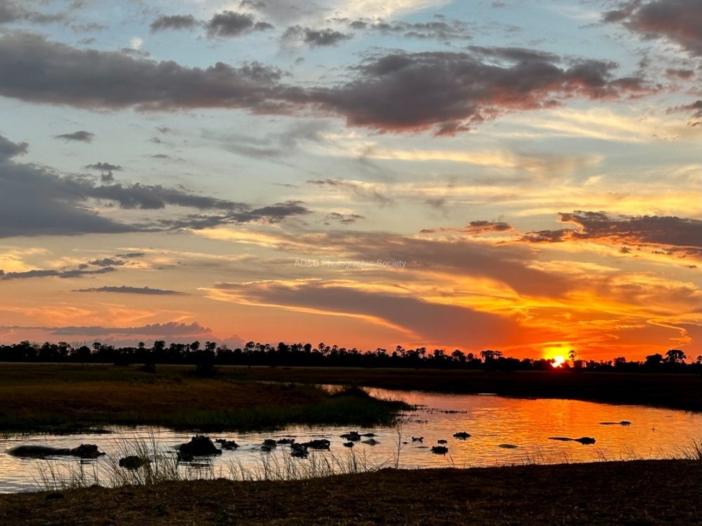Angie Dean - Sundown Safari