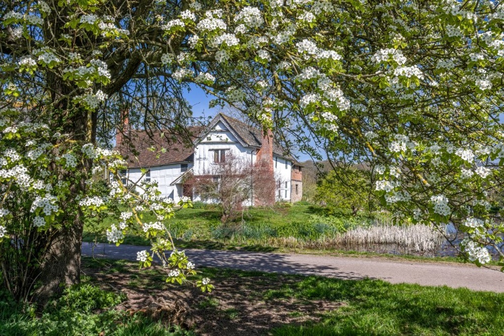 Nicky Westwood - Brockhampton Manor House