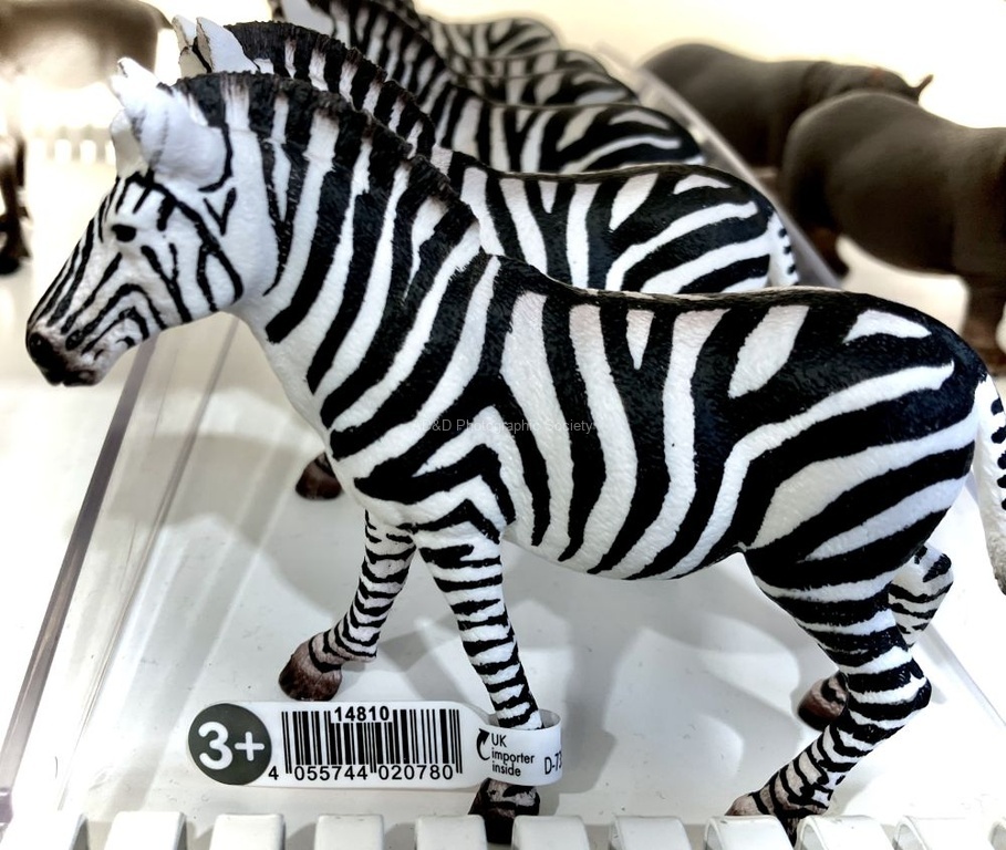 Tim Goss - Animals-2