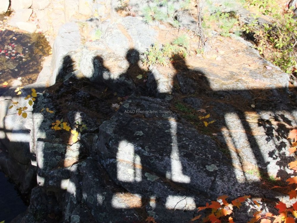 Neil Grantham - Shadows on a Bridge