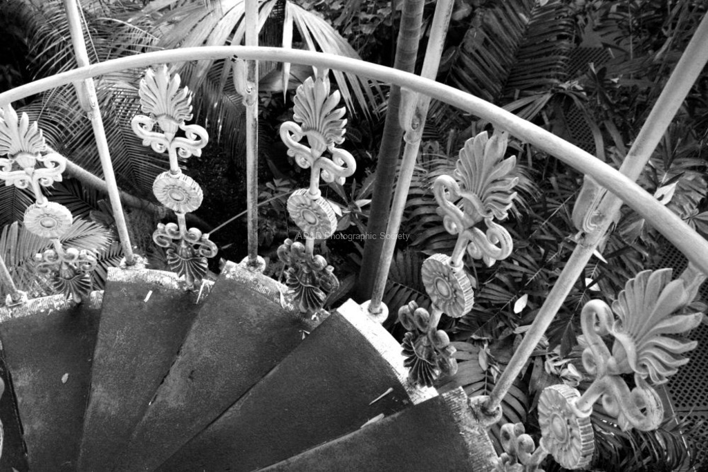 Daphne Lever - Kew staircase