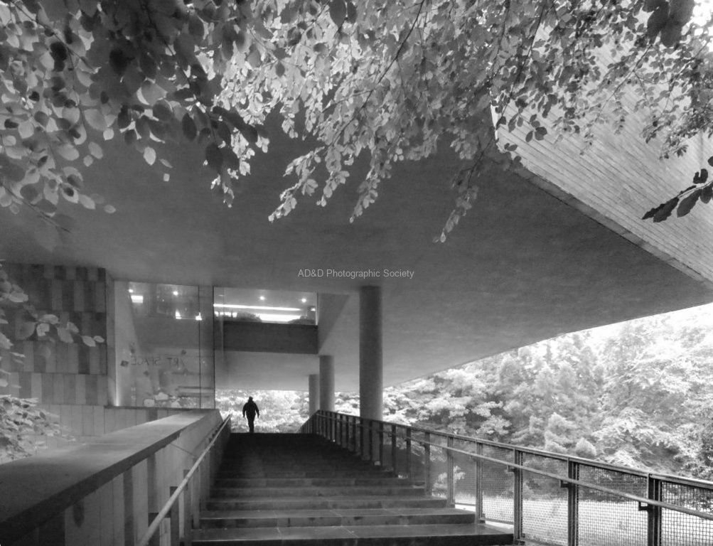 Miggy Wild - Cork Museum of Art
