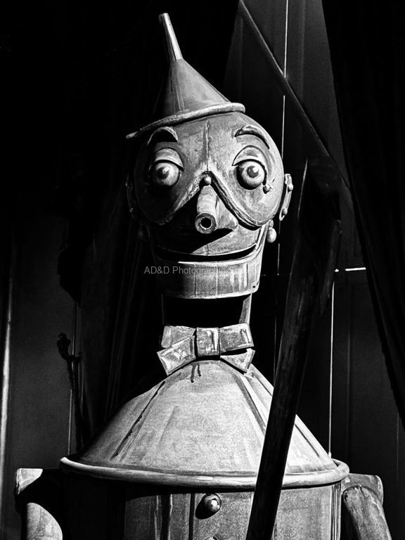 Neil Grantham - Tin Man