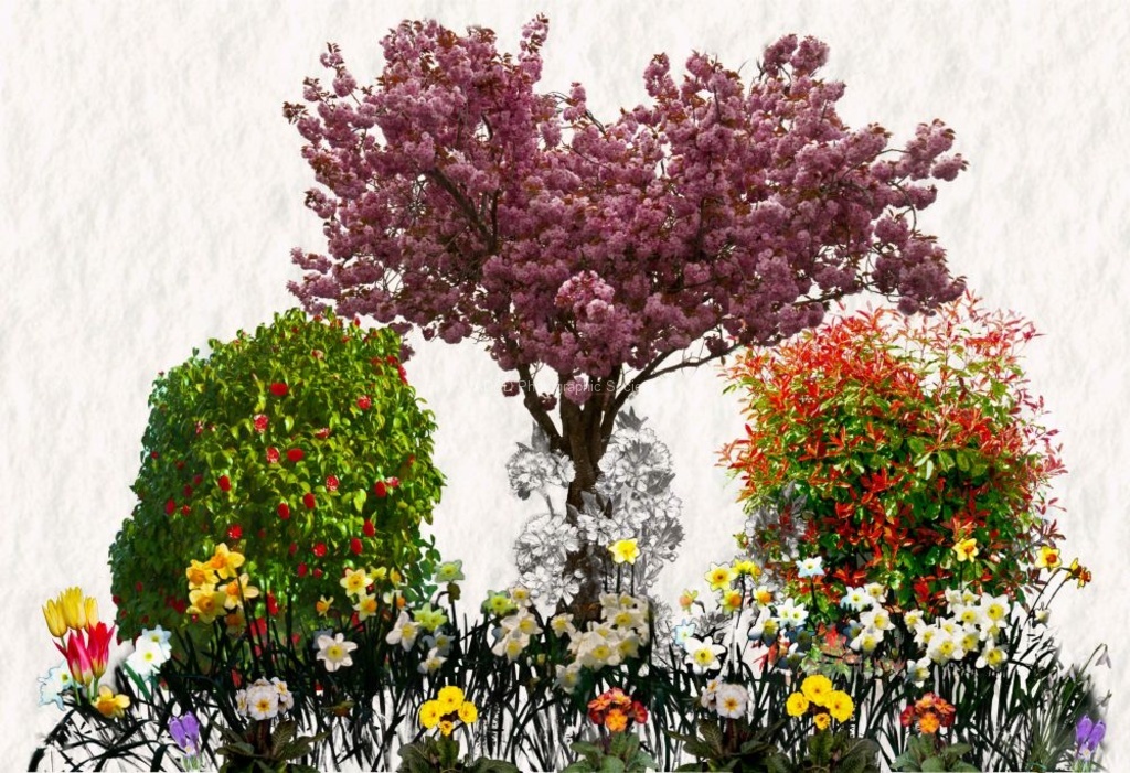 Alan Davies - Spring-Colour