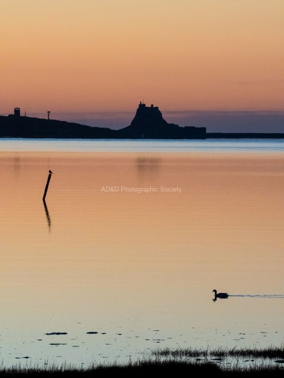 Colin Lamb - Dawn