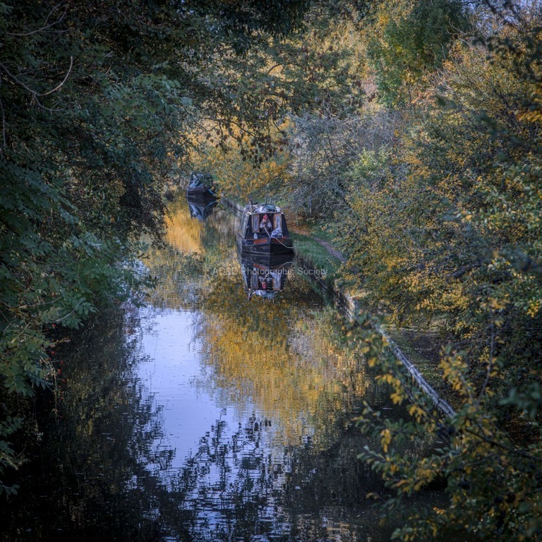 Paul Whitehead - Oxford Canal