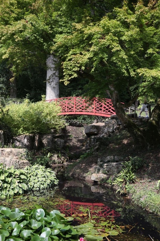 Paul Brewerton - Chinese Bridge Batsford