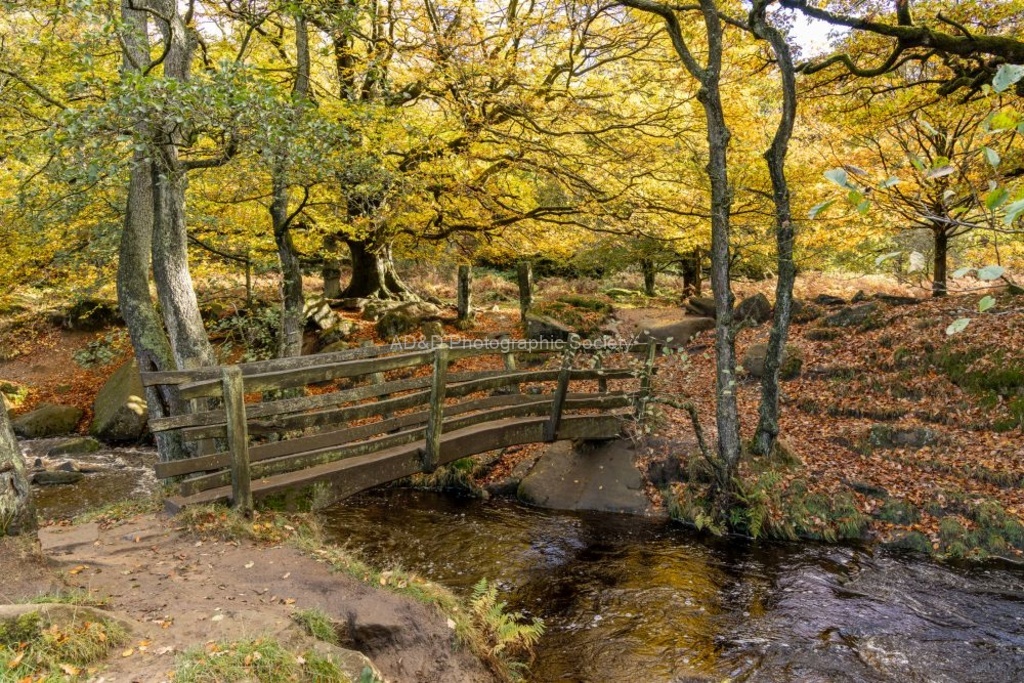 Jim Muller - Bridges-2