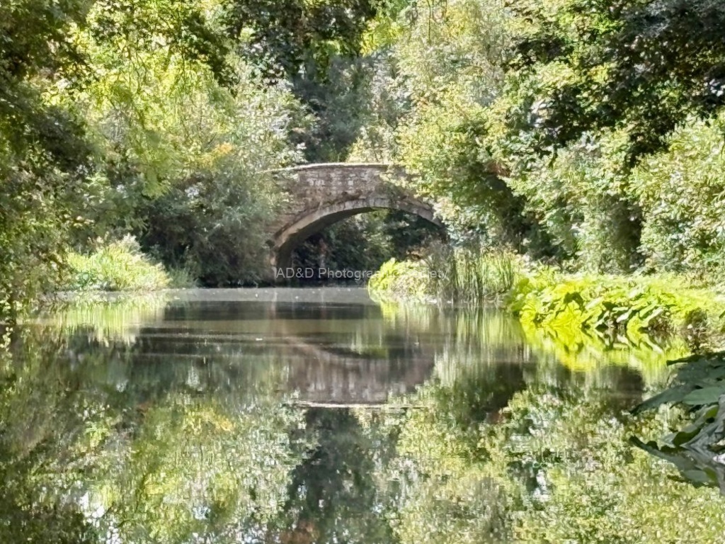 Miggy Wild - Bridge no 2