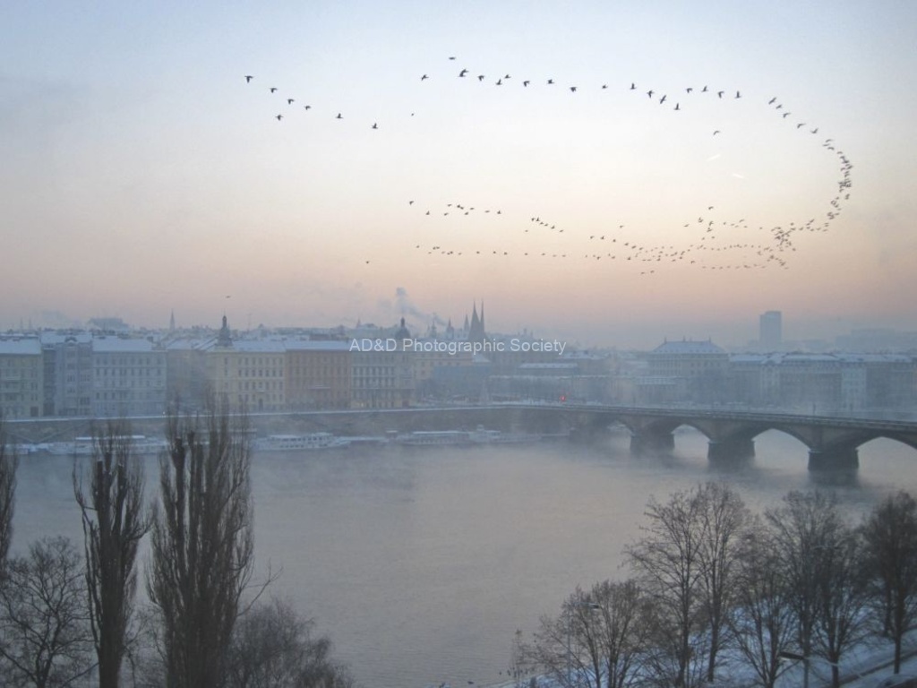 Tim Goss - Prague