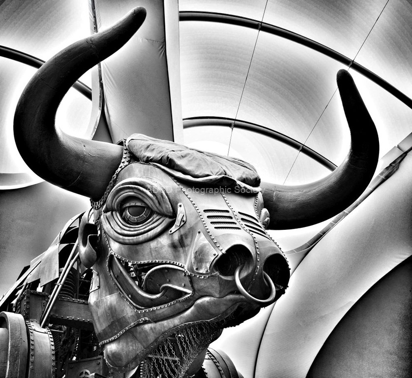 Paul Friend - Ozzy the Mechanical Bull