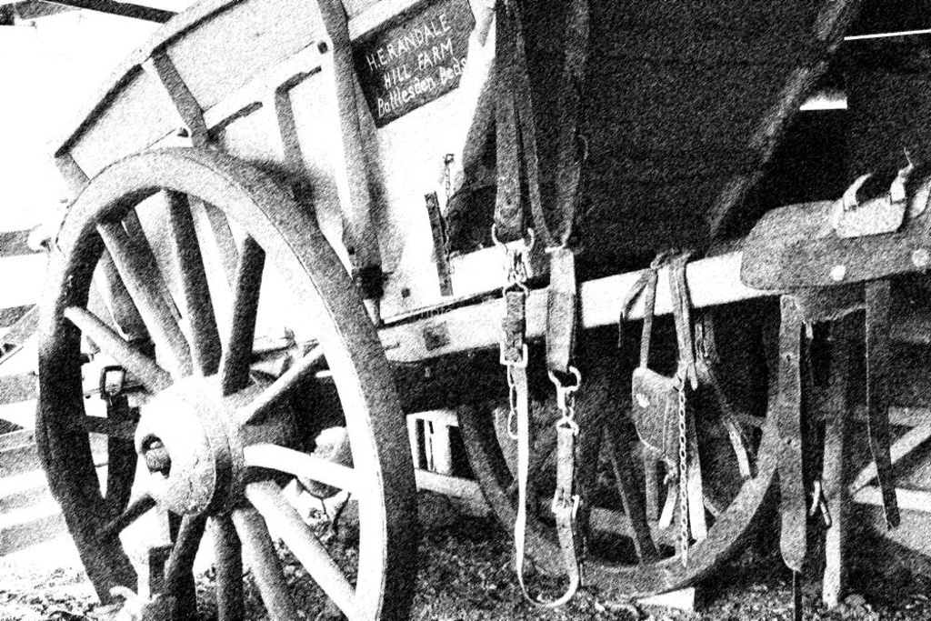 Daphne Lever - Cart