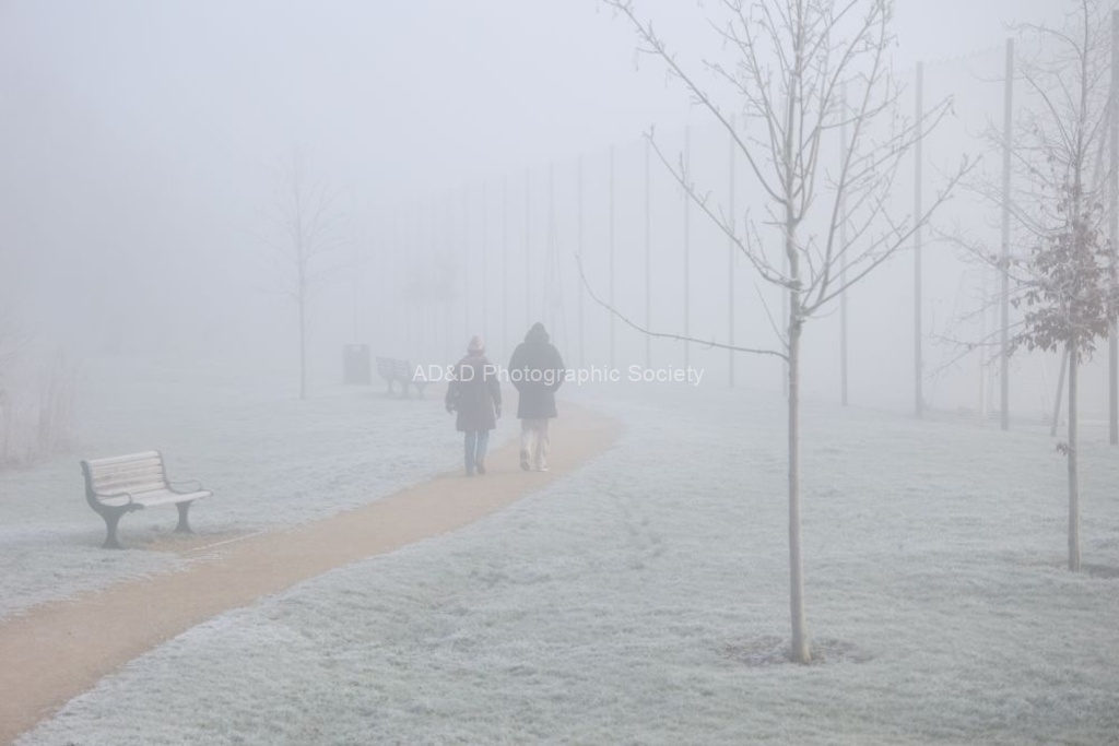 Paul Brewerton - Foggy morning Walk