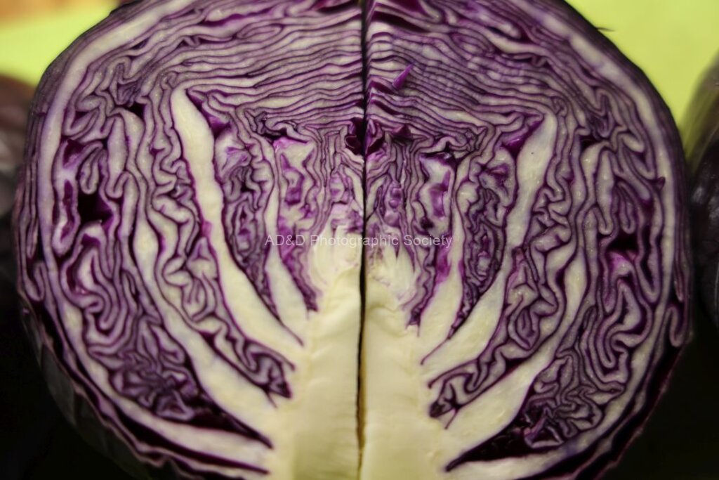 Paul Brewerton - Red Cabbage innards