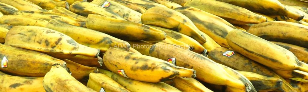 Pete Wild - Banana shoal