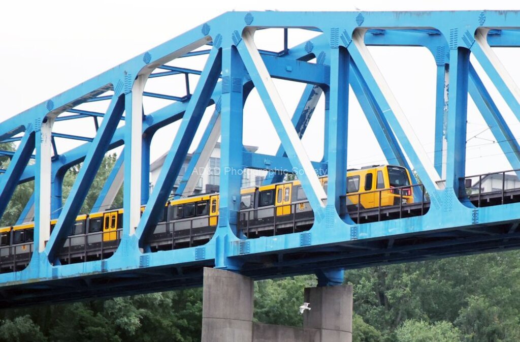 Paul Brewerton - Blue Bridge-Yellow Train