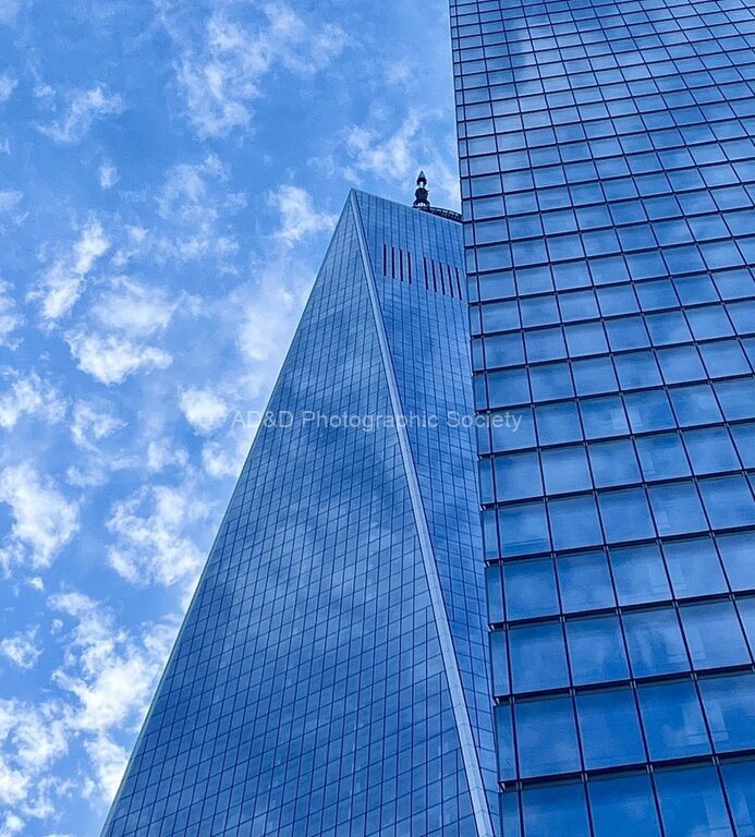 Maureen Robinson - World Trade Centre NYC