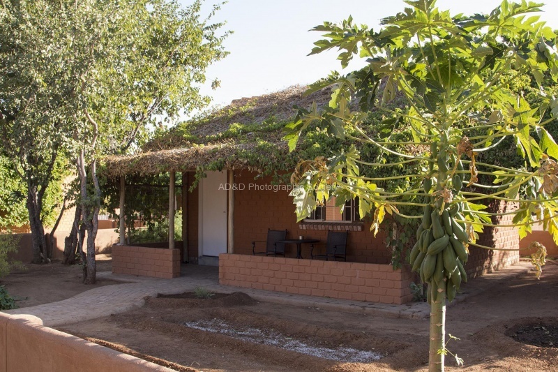 Colin - 3 - Namibian fruit.jpg