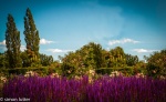 Simon 3 Sissinghurst composite trees.jpg