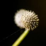 Mahoney Textures 1 - Sticky.jpg