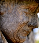 Paul 1 Wooden man texture.jpg