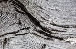 Texture - SMW-3.jpg