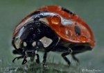 Caught in the rain