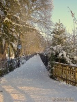 A nice day for a walk