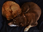 Best friends